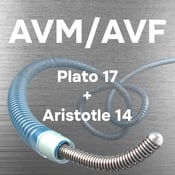 Silver AVM AVF Silver AVM AVF
