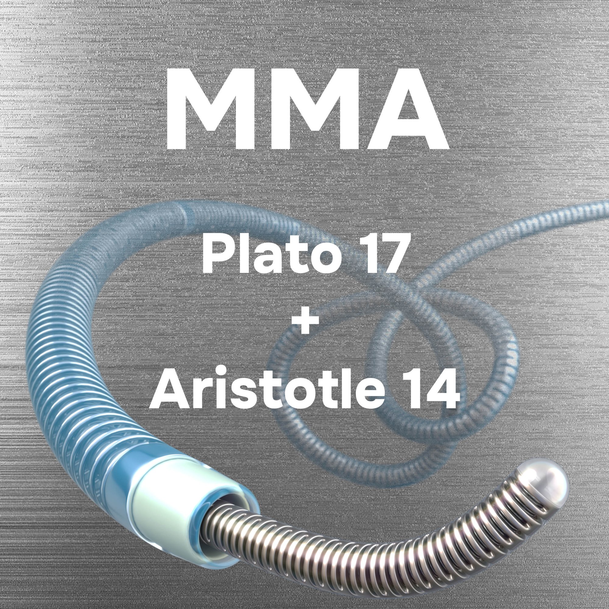 Silver MMA Silver MMA